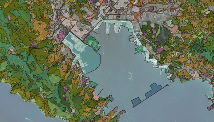 Aggiornamento Carta Uso Suolo – ed. 2025