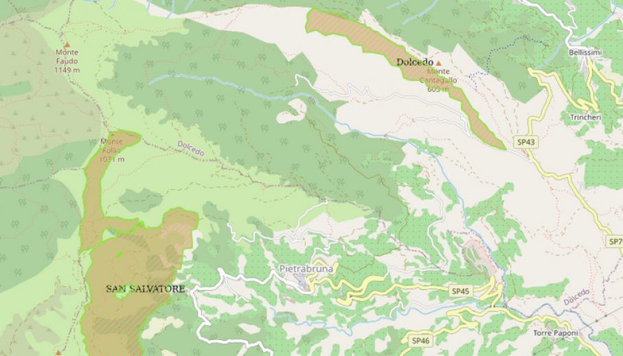 Aree percorse dal fuoco anno 2024