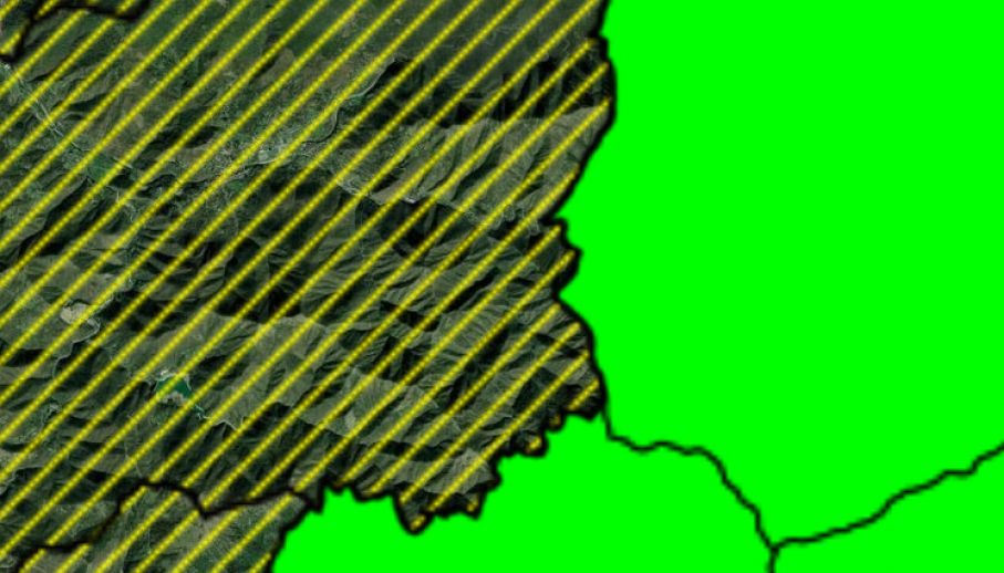 Aree delimitate Coleottero scarabeide